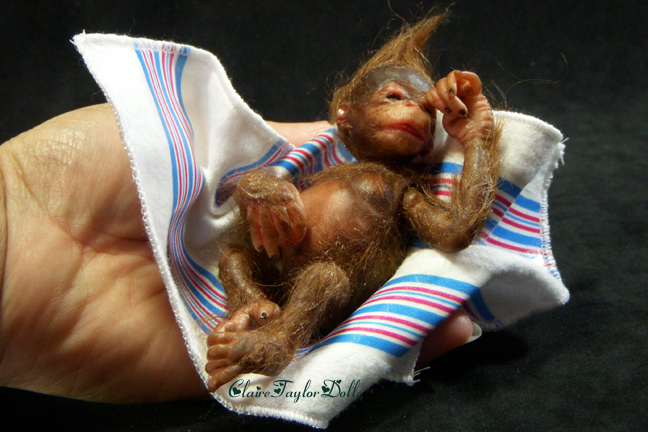 monkey